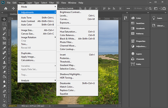 Photoshop picture editor