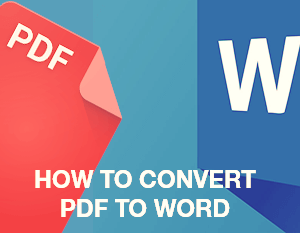 How to Convert Scanned PDF to Word